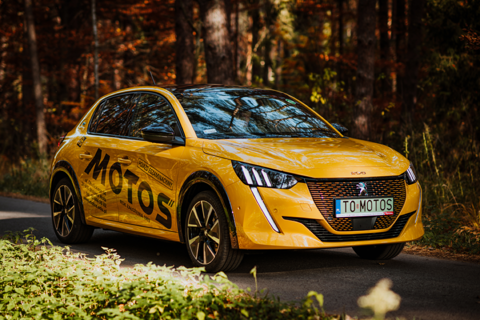 żółty samochód nauki jazdy w lesie